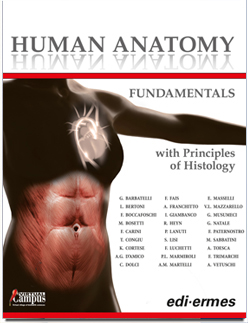 Human Anatomy - Fundamentals