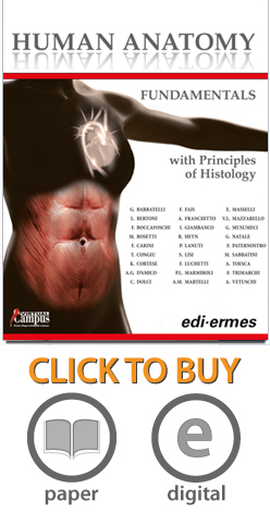 Human Anatomy - Fundamentals