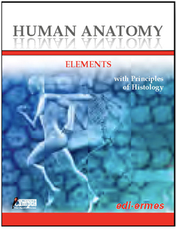 Human Anatomy - Elements