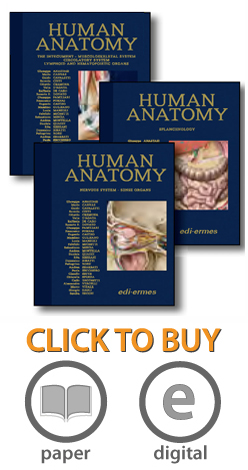 Treatise on Human Anatomy
Systematic and Functional Approach