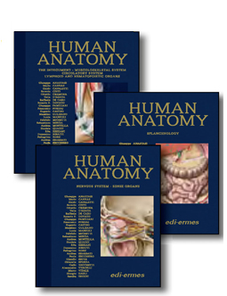 Treatise on Human Anatomy Systematic and Functional Approach