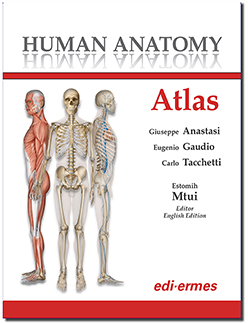 Human Anatomy Atlas