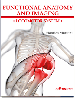 Functional Anatomy and Imaging
