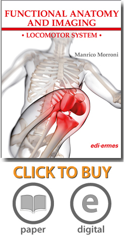 Functional Anatomy and Imaging